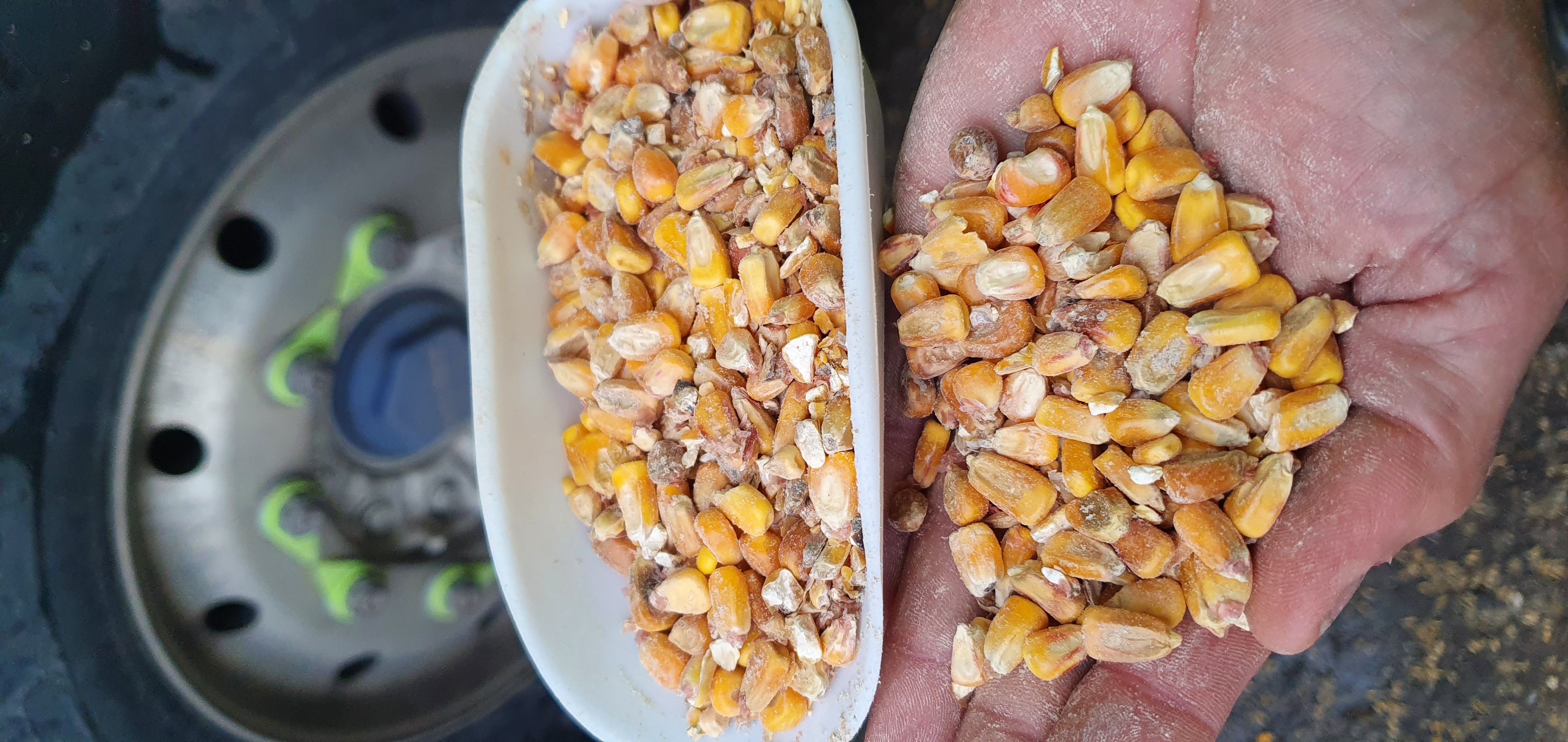 Análisis de formulación de piensos